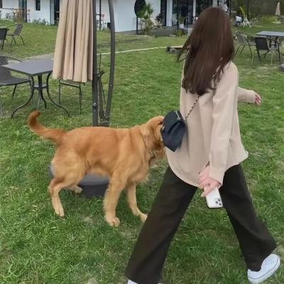 血纹身